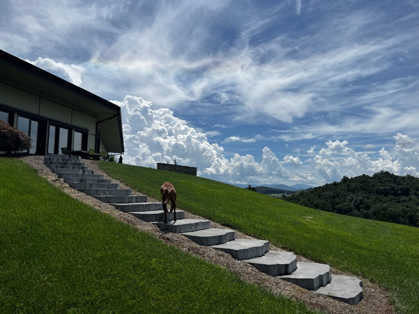 Designed for the View, Shenandoah Valley