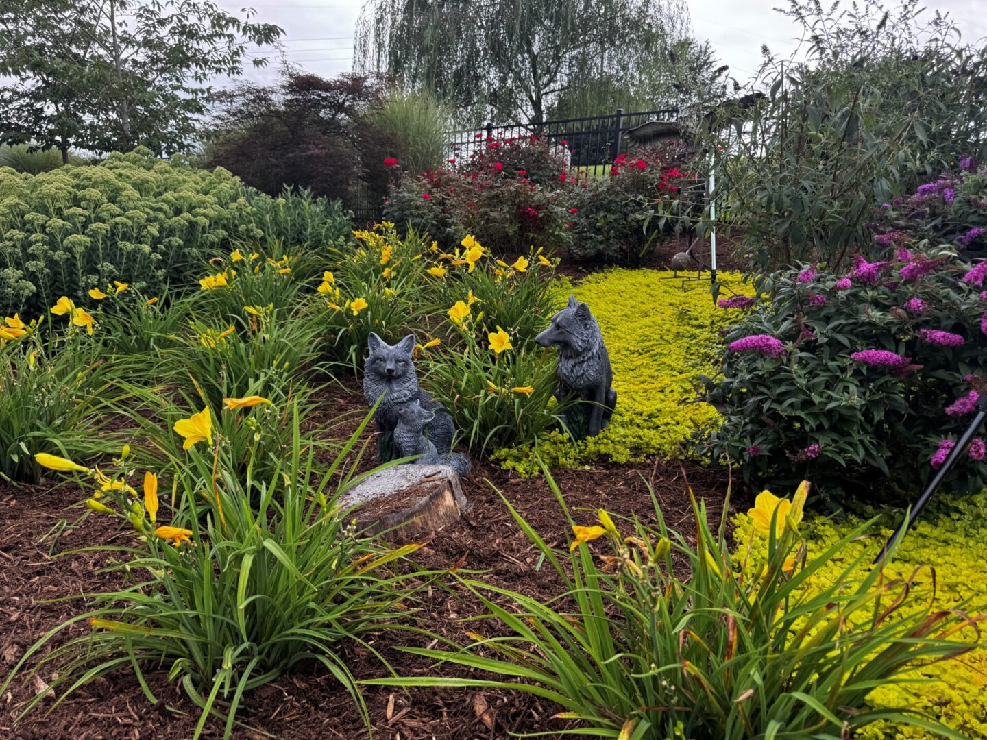 Ashley's Garden, Radford